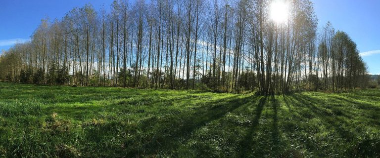 Oxbow Farm & Conservation Center