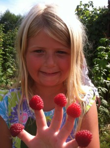 raspberry fingers