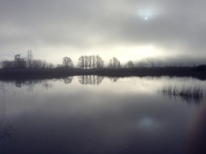 Wednesday. A view west across our fields towards the late-afternoon sun. 