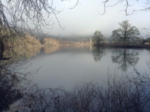 Swollen snoqualmie