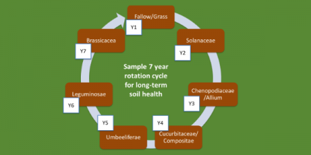 Crop cycle