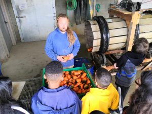 Students learn about produce storage and washing in Oxbow's processing area.