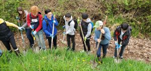 Students remove invasive blackberry