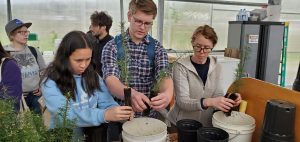 Students transplant douglas fir seedlings