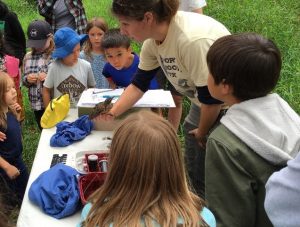 avian banding oxbow farm