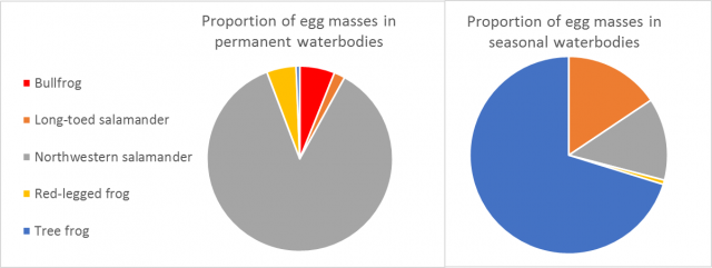 pie chart comparing egg masses in permanent vs. seasonal water bodies egg mass pie chart