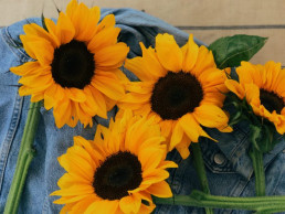 SUNFLOWERS