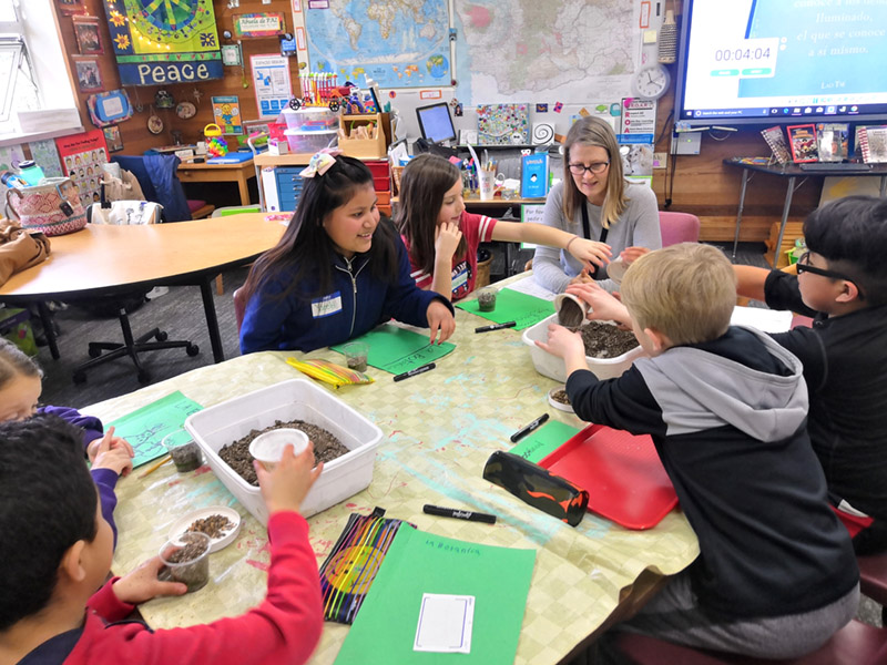 PLANTING SEEDS IN CLASS