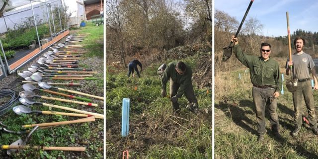 restoration volunteers