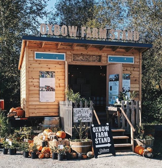 farm stand