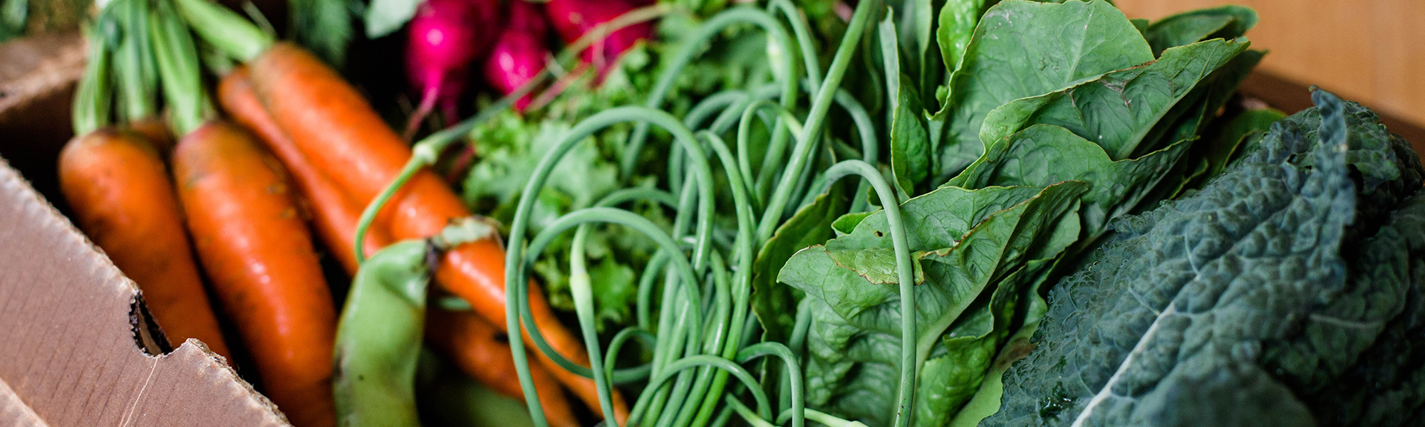 Spring CSA