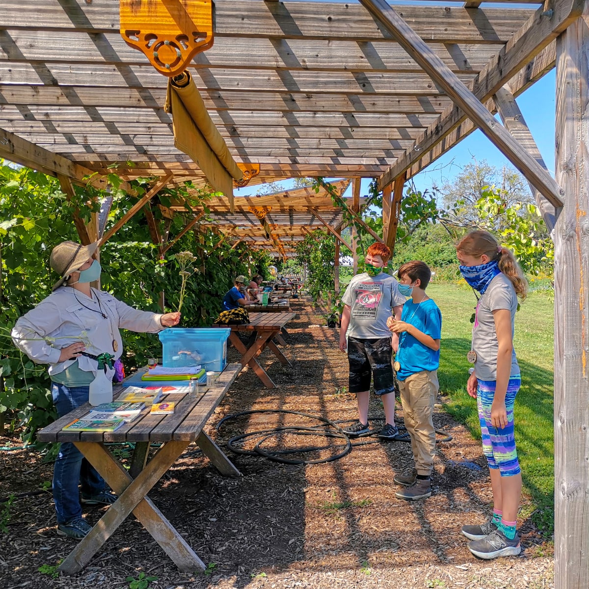 Summer Camps At Oxbow Oxbow Farm Conservation Center