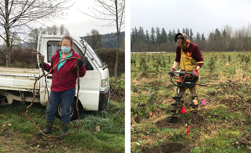 restoration volunteers