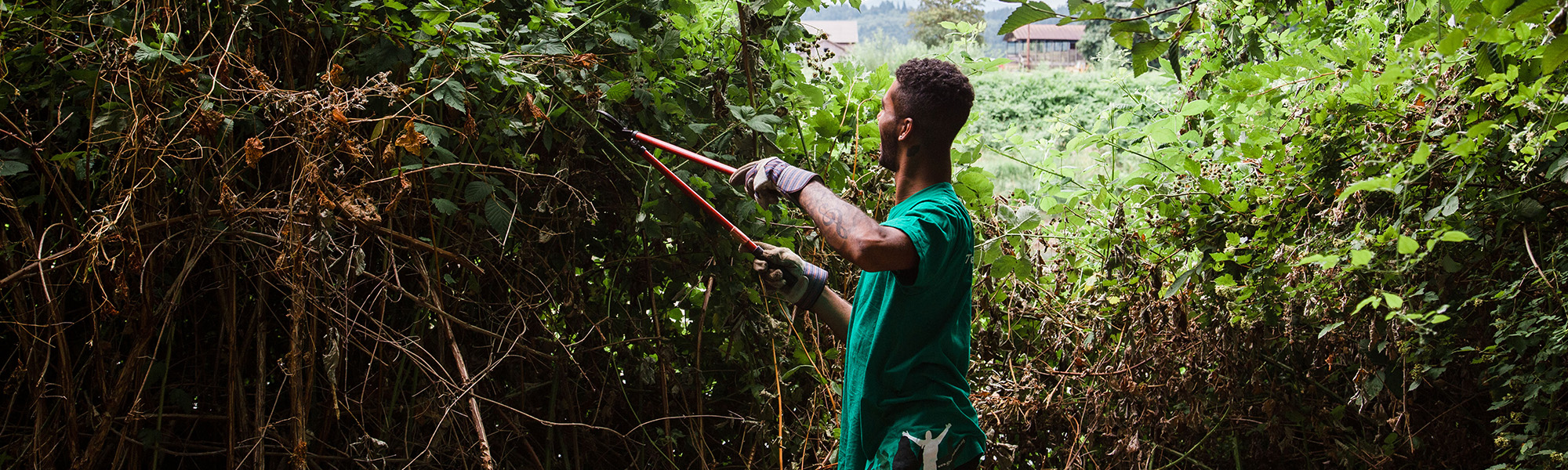 Habitat Restoration Technician Oxbow Farm & Conservation Center