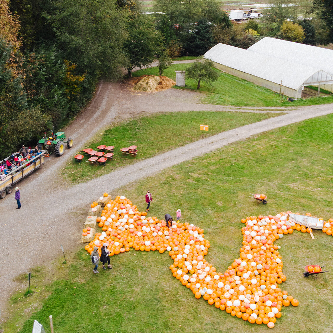 Aerial view of hayride and pumpkin patch at Oxtober.