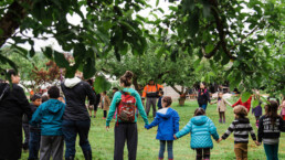 a school class holds hands in a field forming a big ring