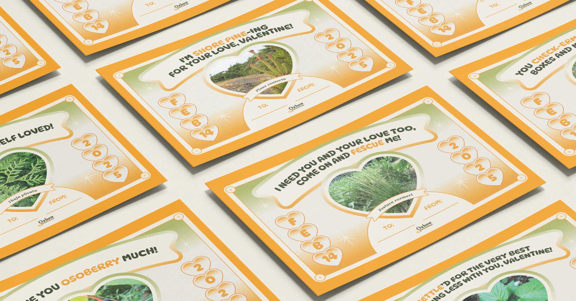 Downloadable native plant-themed Valentine’s Day cards for nature lovers.