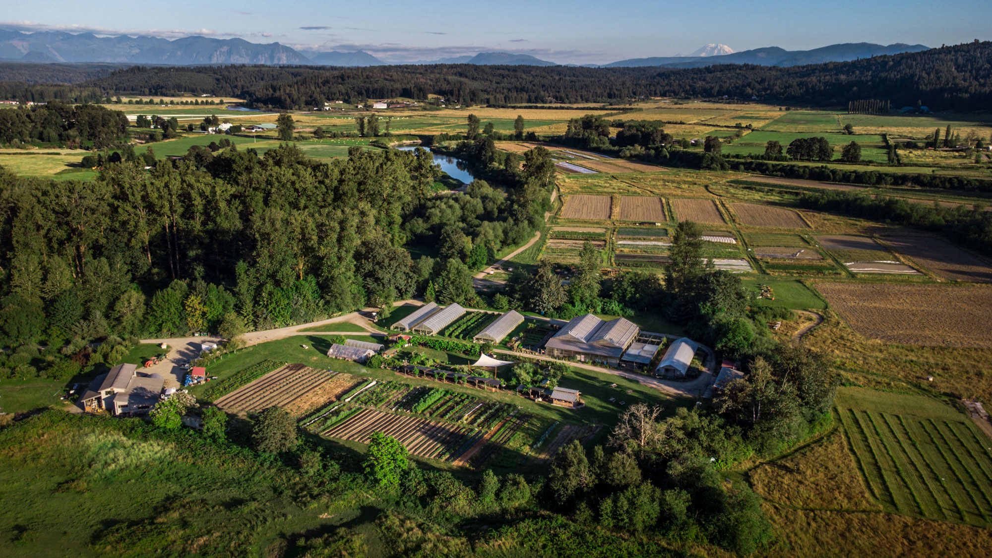 Aerial view of Oxbow Farm & Conservation Center, showcasing organic farm plots, hoop houses, barn, native plant nursery, and surrounding riparian forests with the Snoqualmie River running through the landscape and Mt. Rainer in the background.