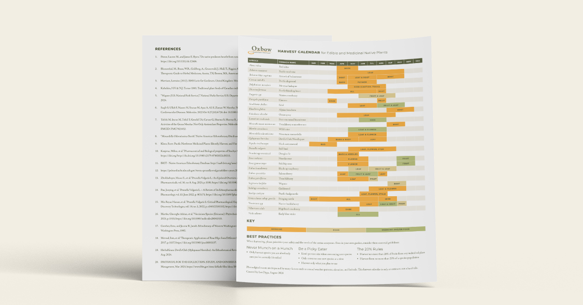Mockup of Oxbow’s Harvest Calendar for Edible and Medicinal Native Plants with seasonal foraging guide and best practices.