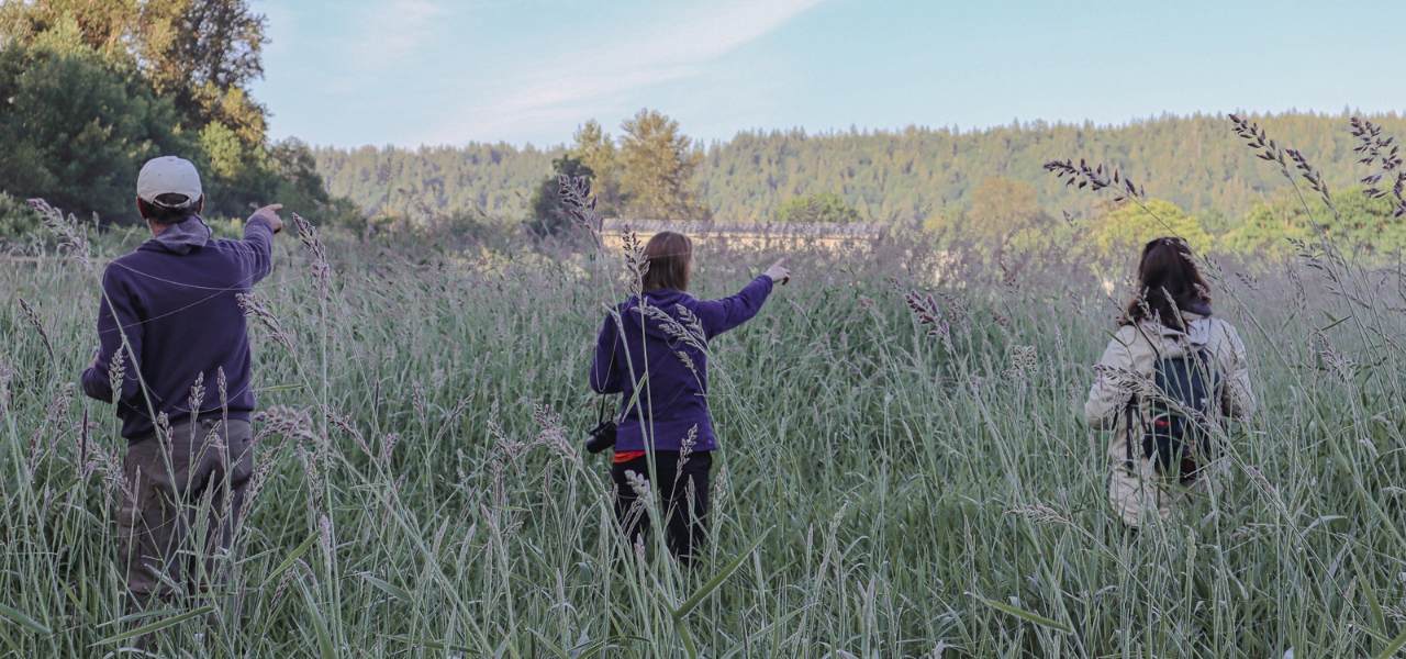 Three bird watchers pointing towards wildlife in a tall grass meadow at Oxbow.