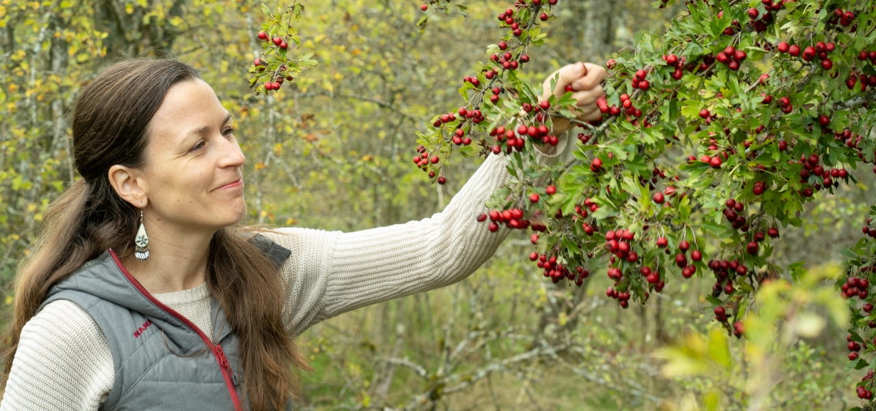 Rosa Vissers foraging berries during Eat the Weeds workshop at Oxbow.