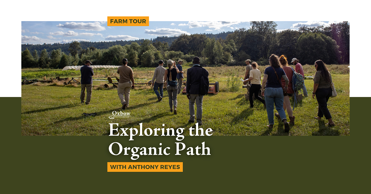 Group touring Oxbow's organic fields under a blue sky during Exploring the Organic Path farm tour.
