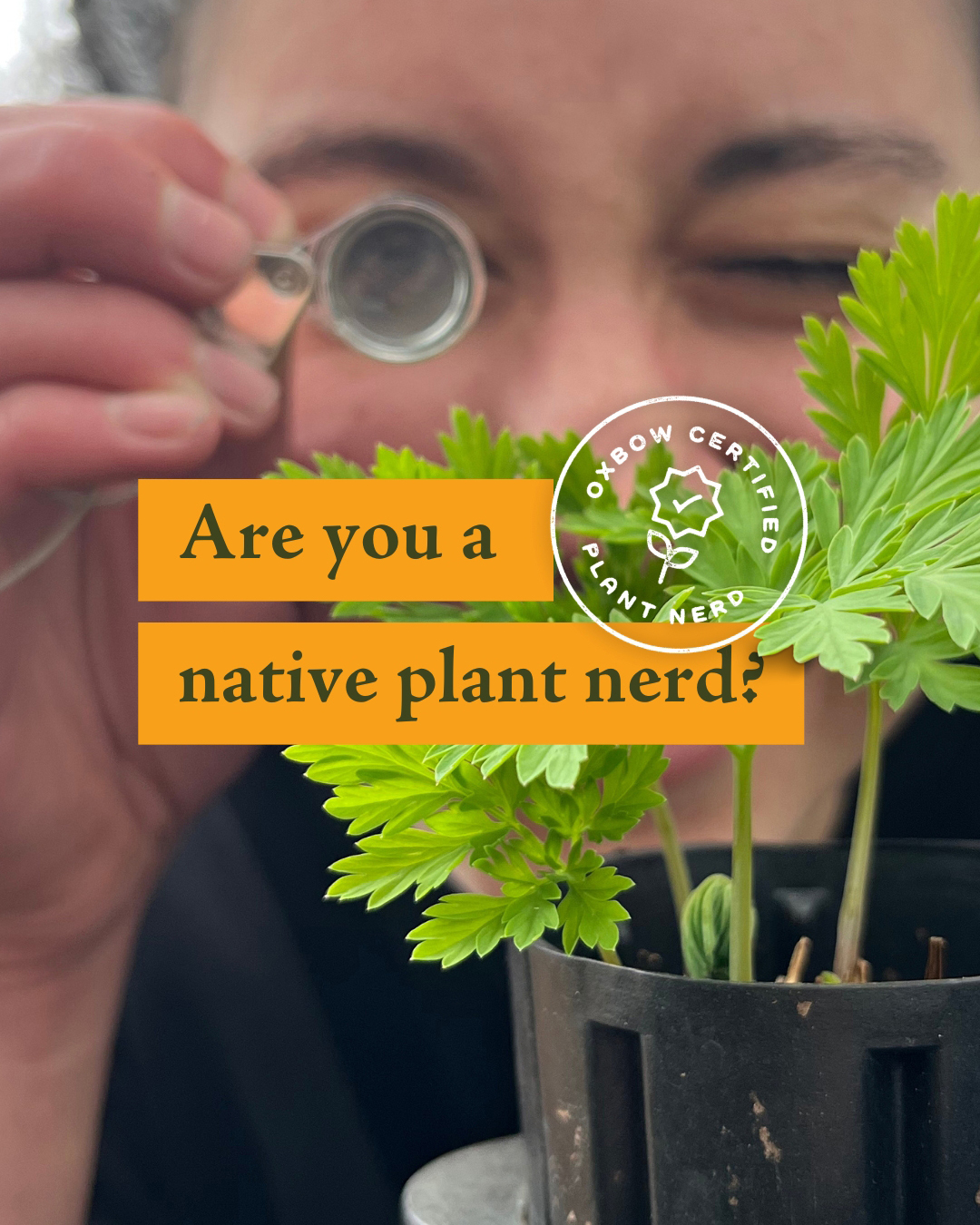 Person examining native plant with magnifying lens, promoting Oxbow’s "7 Signs You're a Plant Nerd" video.