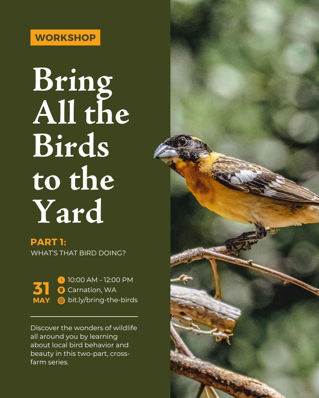 Workshop graphic for "Bring All the Birds to the Yard" Part 1 at Oxbow Farm featuring a colorful bird perched on a branch against a natural green background.