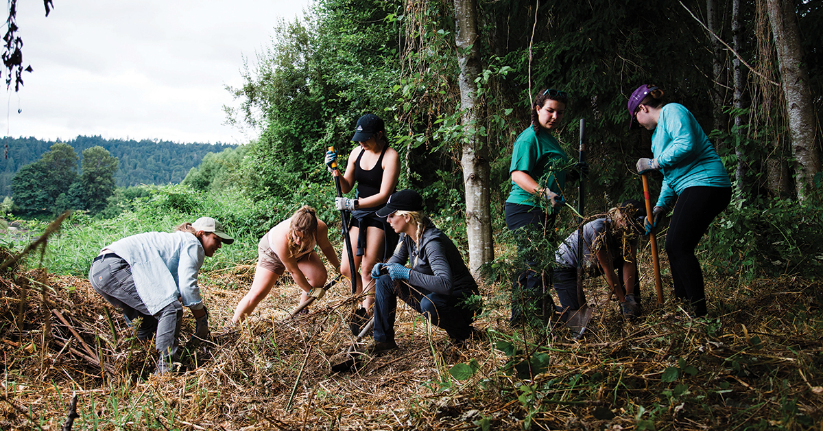 Volunteers working together at Oxbow, clearing brush and restoring natural habitat in a riparian forest along the Snoqualmie River in Carnation, Washington.