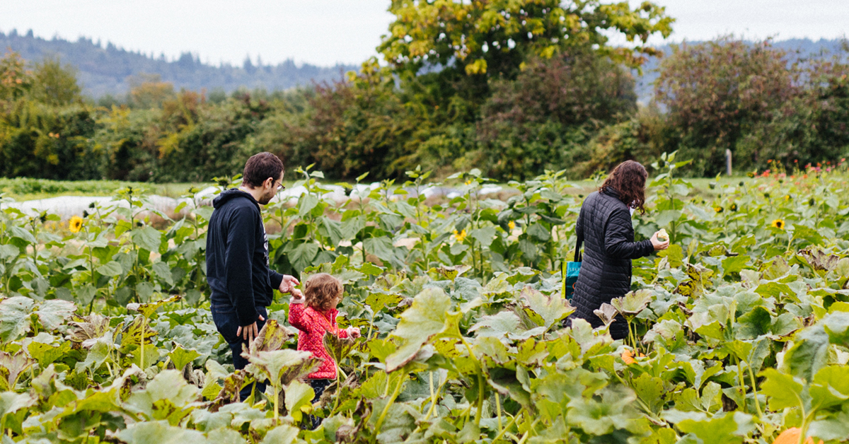 Family exploring Oxbow's fields during a visit to the scenic Snoqualmie Valley.