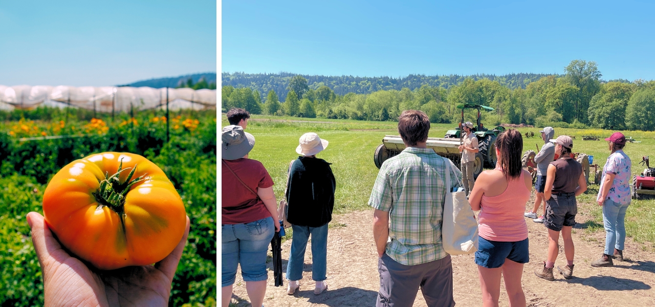 Hands-on dry farming workshop at Oxbow Farm with heirloom tomato demonstration and farmer-led field tour.