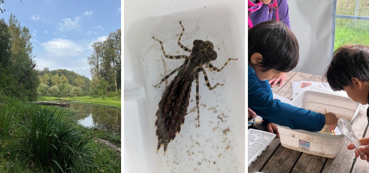 Discover aquatic critters up close and investigate their habitat at Oxbow Lake.