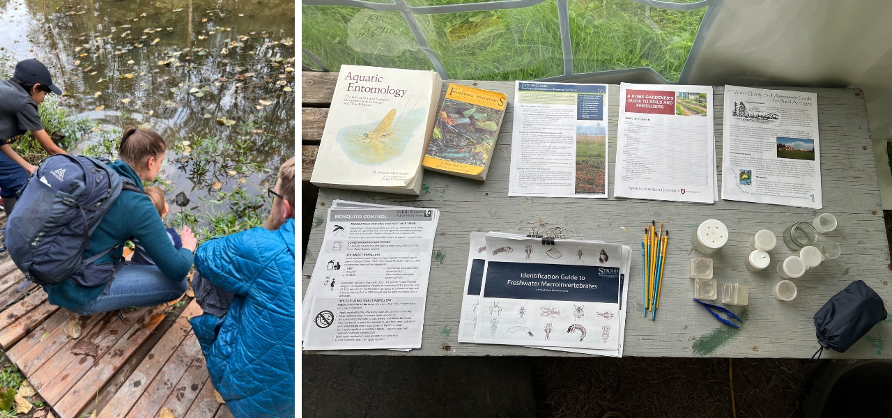 Hands-on macroinvertebrate discovery at the water's edge with field guides and ID materials.