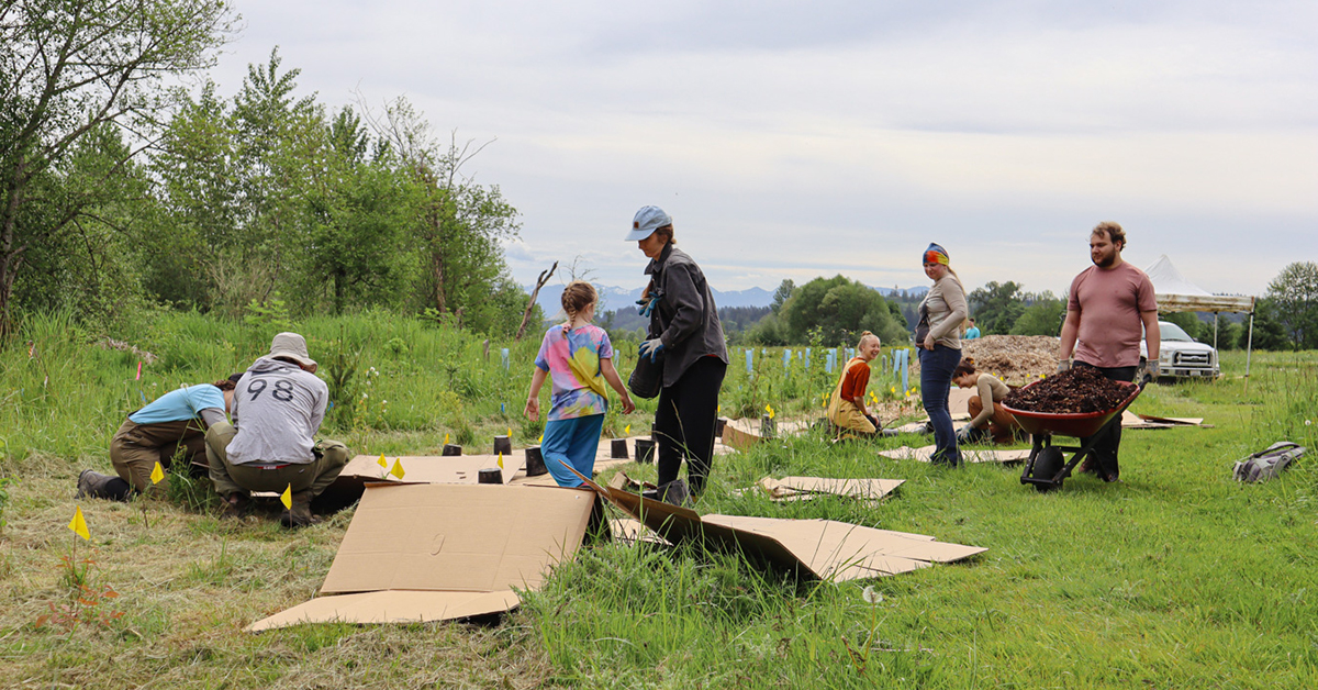 Volunteers, including a mother and daughter, lay cardboard and mulch for native plant restoration at Oxbow's restoration work party.