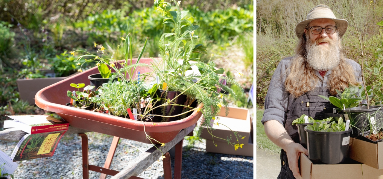 Native plants ready for sale in a wheelbarrow and a person smiling with a box of new plants.