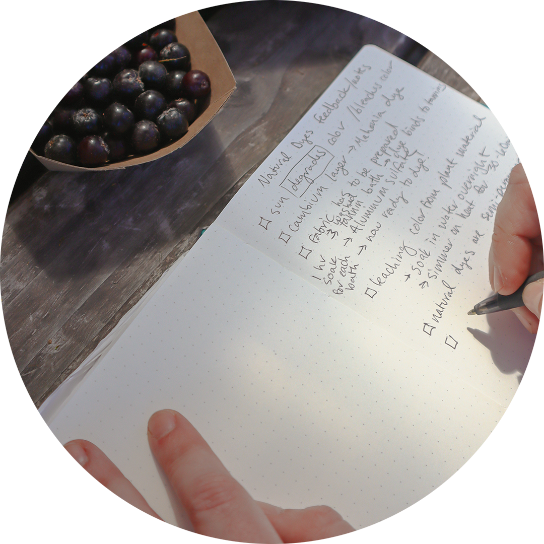 Close-up of a nature journal page with notes on natural dyes and seasonal plants.