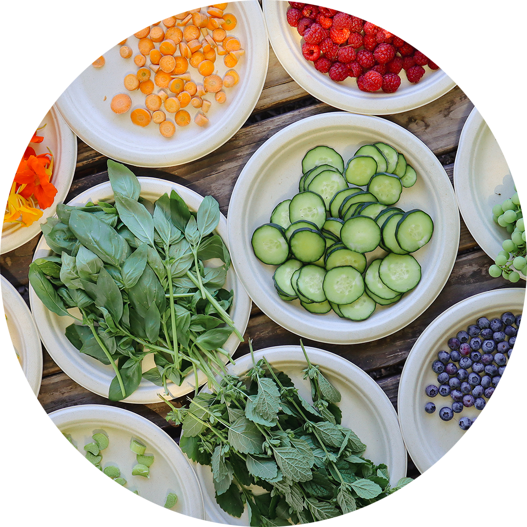 Assorted plates of fresh vegetables, fruits, and herbs laid out for a seasonal tasting activity.