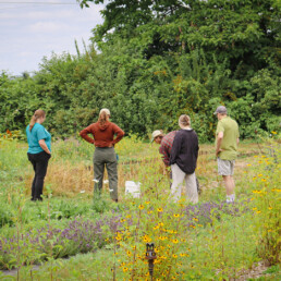 Group of adults exploring garden beds during a soil testing workshop.
