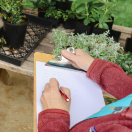 Person taking notes on a clipboard near trays of native plants.