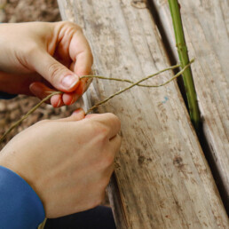 Hands twisting natural fibers to create plant-based cordage on a wooden surface.