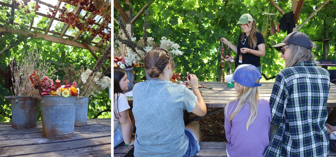 Participants learning to create dried flower garlands under a lush grape arbor at Oxbow.