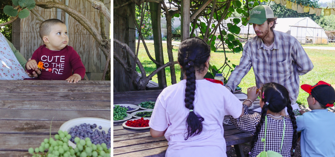 Kids interact with farm-fresh ingredients during a creative culinary workshop.