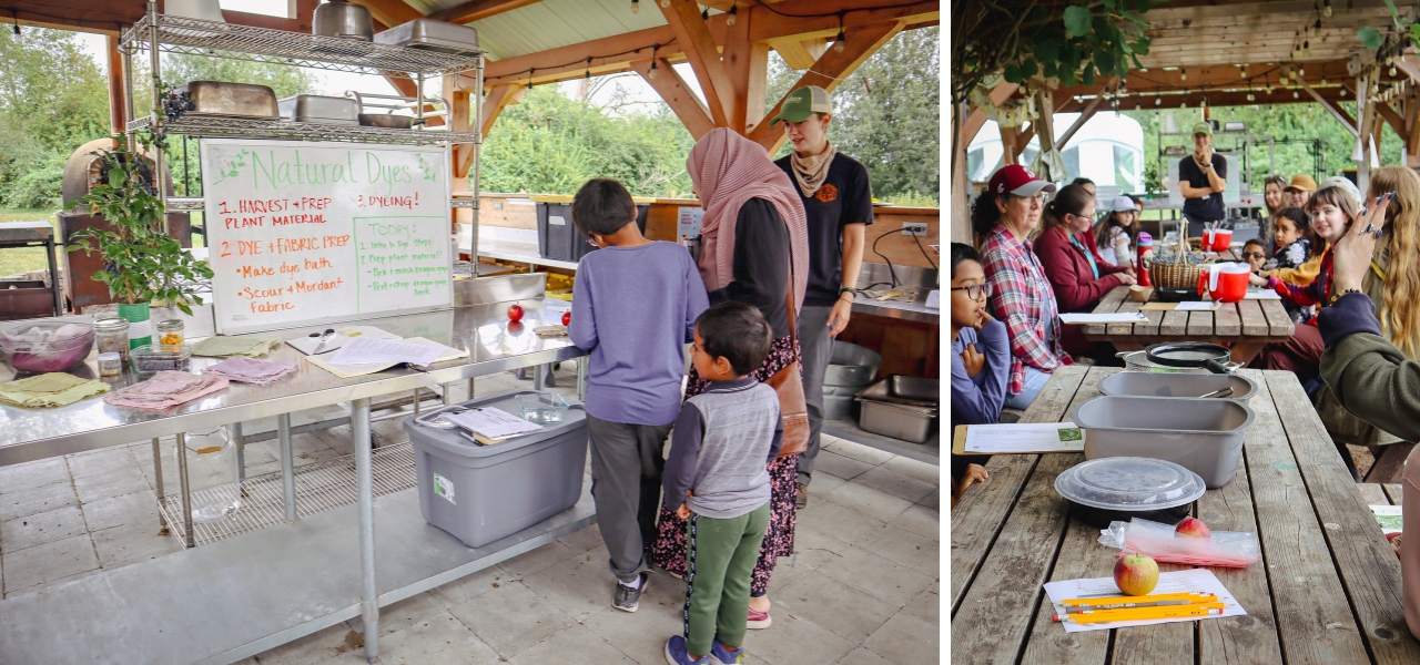 Workshop participants engaging in a natural dye class using native plant materials.