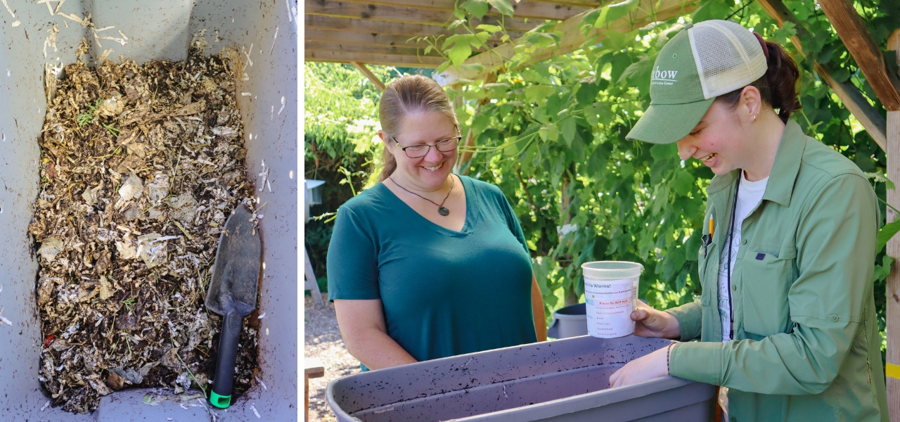 Active vermicomposting bin and a workshop participant engaging with a compost educator.