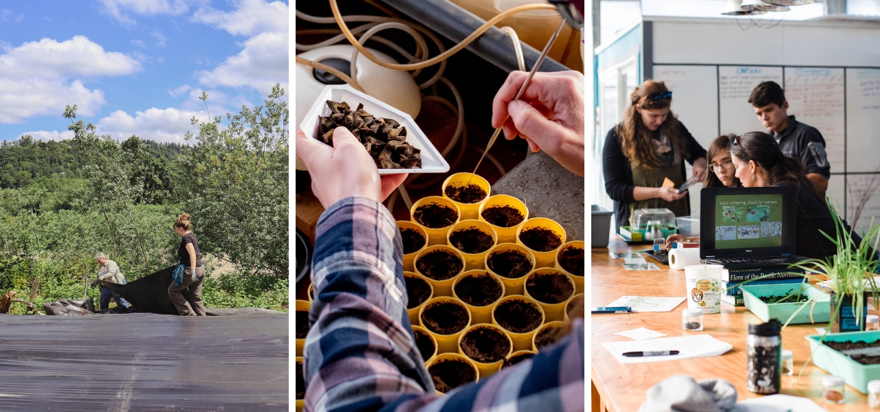 Fieldwork, seed sorting, and classroom training during a native seed restoration program.