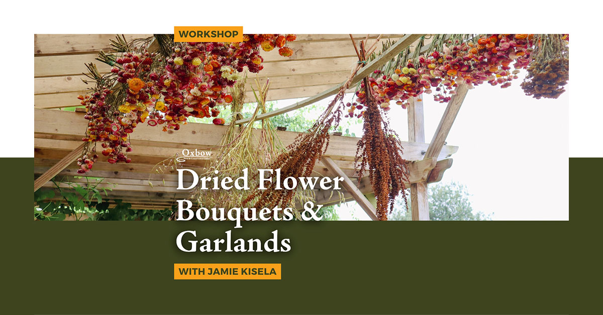 Hanging dried flowers in vibrant colors at Oxbow Farm for a seasonal garland-making workshop.