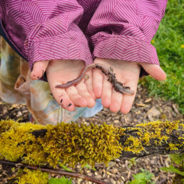 Child holding a worm in muddy hands during a farm field trip.