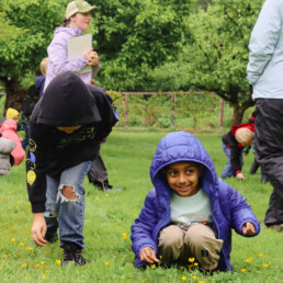 Children crouching in a grassy orchard, observing small flowers during a farm field trip.