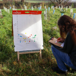 Student charting data during a restoration activity in a grassy field.