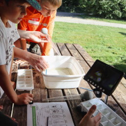 Students investigating water samples with scientific tools during an outdoor activity.